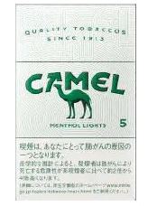 camel_00