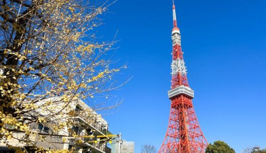 高校生におすすめの東京観光スポットランキングTOP14！若い人が楽しめる必見人気名所から穴場まで一覧！